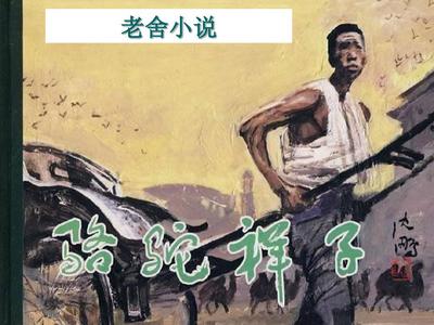 看料官网